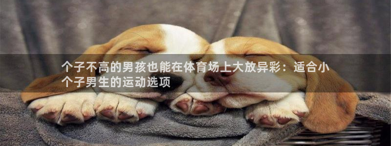 星欧娱乐法711.112不退款后果