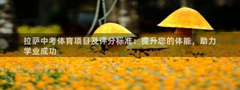 星欧娱乐扣款流程详解