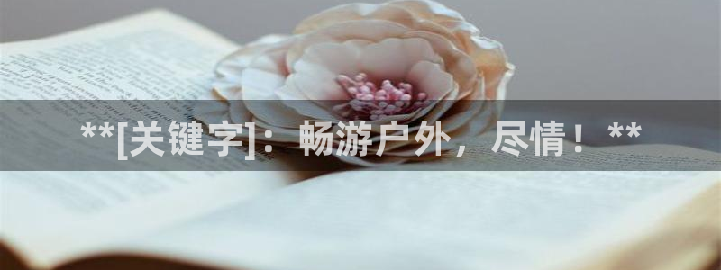 星奥娱乐集团