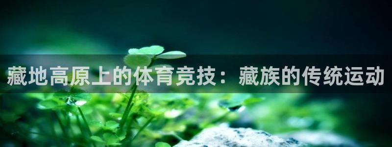 星欧娱乐最建议买的三个产品有哪些呢