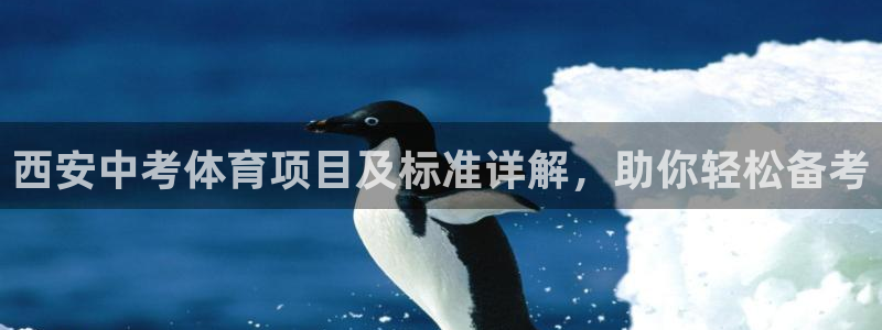 星欧娱乐工客服电话24小时人工服务