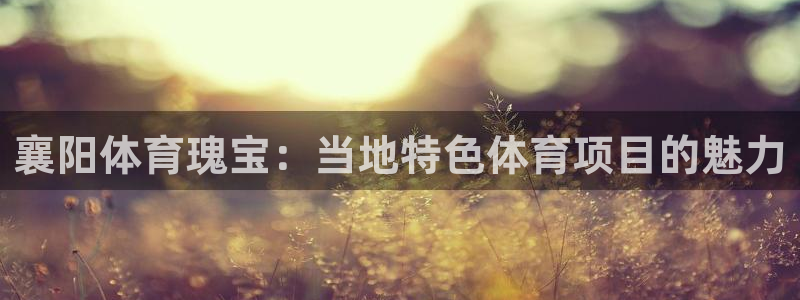 星奥娱乐招聘