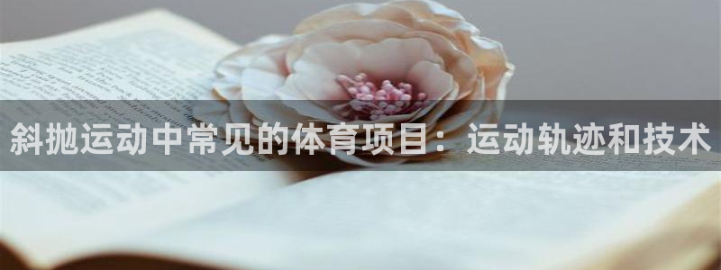 星欧娱乐扣款时间查询方法怎么查