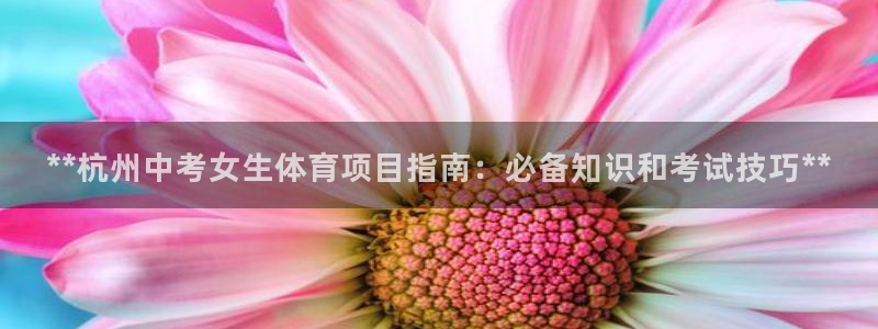 星欧娱乐信存手机版下载
