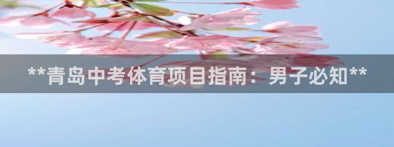 星欧娱乐公司电话号码查询