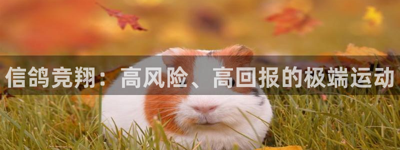 星欧娱乐载711.112使用教程详解