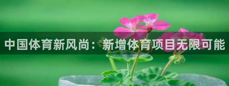 星欧娱乐平台怎么样啊安全吗