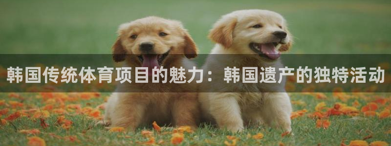 星奥娱乐艺人