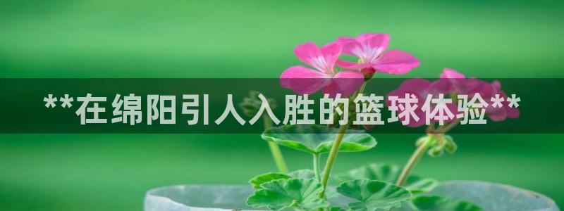 星欧娱乐工711.11是正规的吗