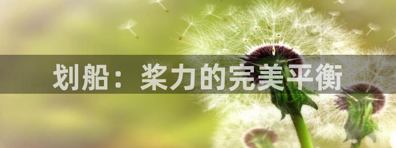 星奥娱乐旗下艺人