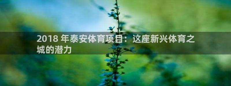 星欧娱乐官方客服联系方式查询