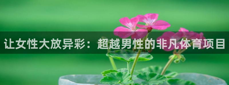 星欧娱乐属于什么档次的网站啊