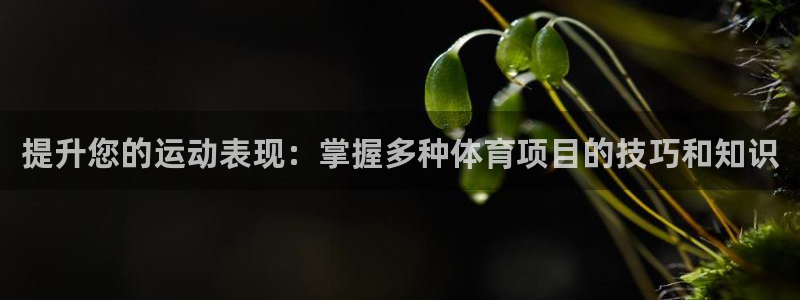 星欧娱乐工711.11是正规的吗