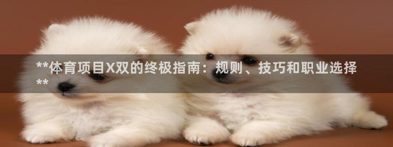 江苏星奥娱乐有限公司招聘