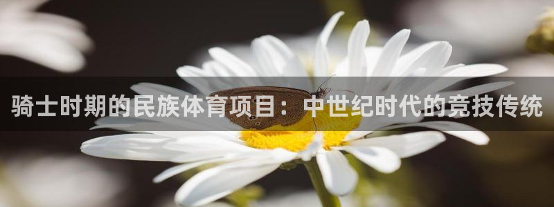 星欧娱乐挂机赚钱