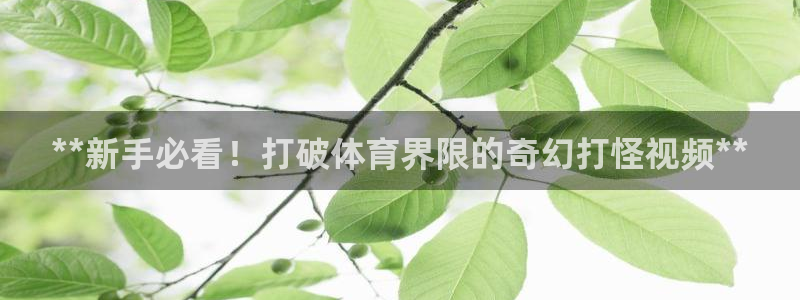 星欧娱乐最建议买的三个产品是哪三个