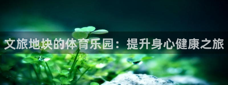 星欧娱乐法最新进展
