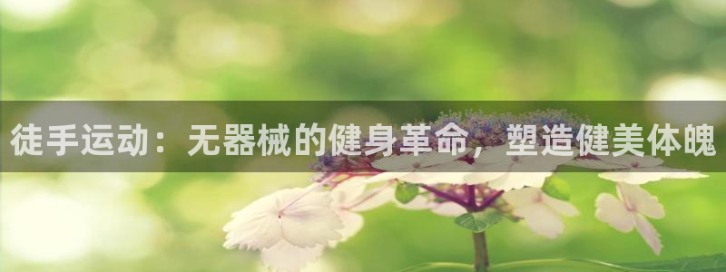 星奥娱乐集团股份有限公司官网
