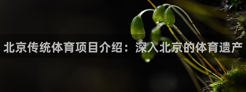 星澳娱乐公司地址