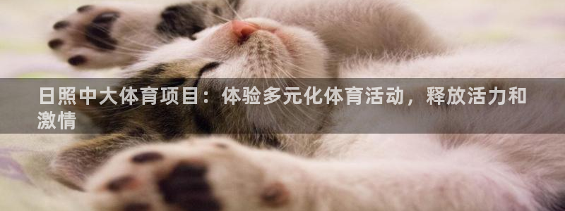 星欧娱乐用户名和密码