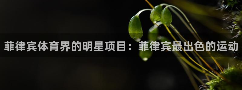 星欧娱乐巴711.112扣费记录查询方法