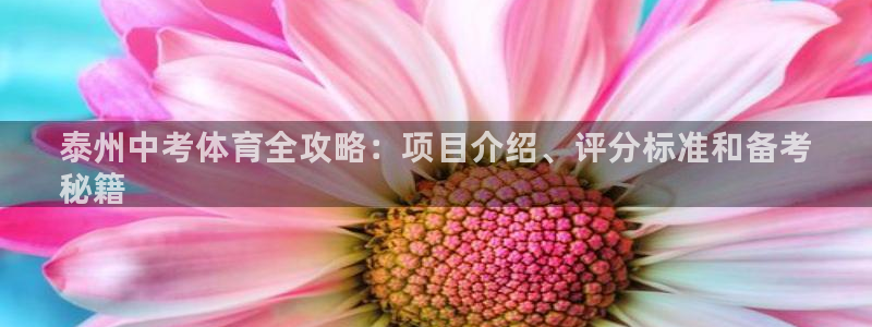 星欧娱乐平台怎么样啊安全吗