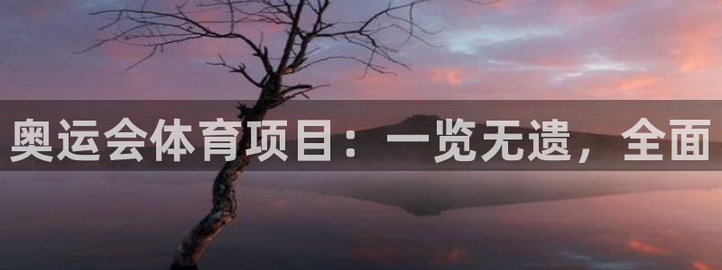 星欧娱乐扣款时间查询方法怎么查的