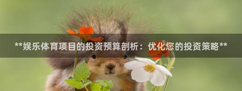 星奥娱乐集团股份有限公司招聘