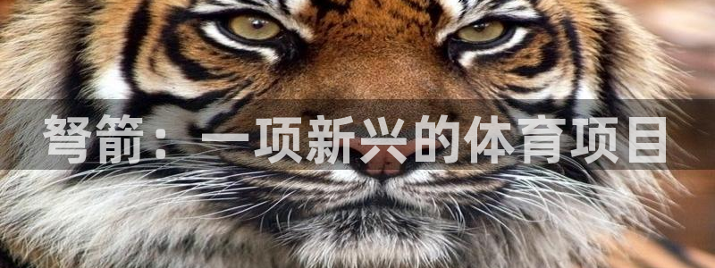 星欧娱乐公司简介