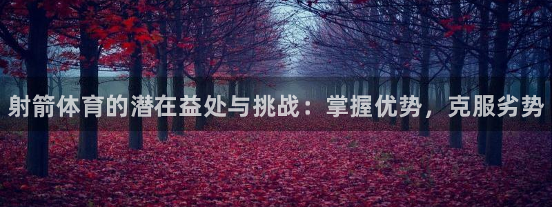 星欧娱乐扣款流程详解图高清