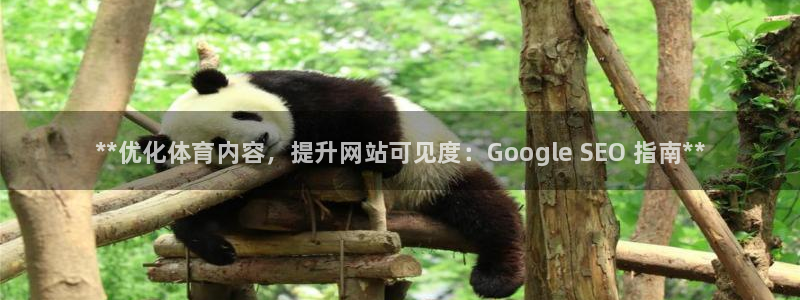 星欧娱乐平台怎么样啊安全吗