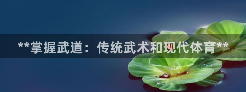 星欧娱乐雀V是什么平台