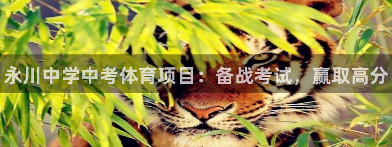 星欧娱乐扣款流程详解图