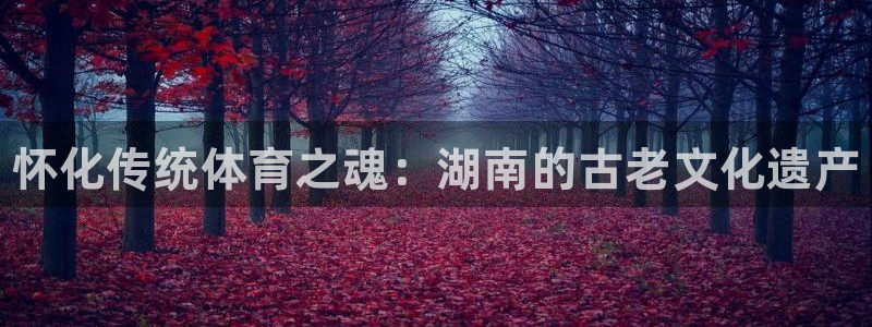 星娱乐online刘亦菲