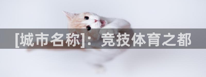 星奥娱乐集团股份有限公司