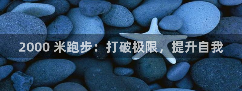 星欧娱乐和嫲薇他的区别是什么