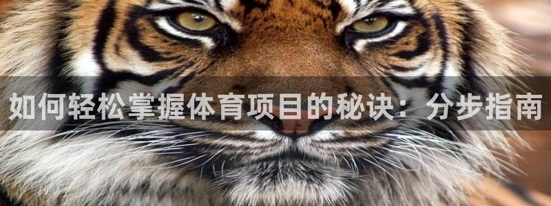 星欧娱乐法711.112扣费如何处理