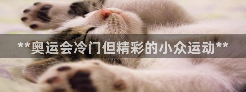 星欧娱乐扣款流程详解图高清