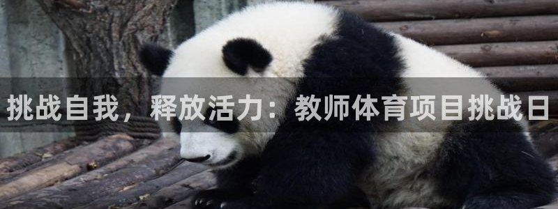 星欧娱乐最建议买的三个游戏