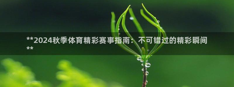 星欧娱乐属于什么档次的软件公司