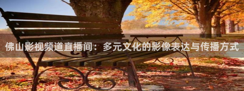 老司机福利影院在线观看：佛山影视频道直播间：多元文化的影像表达与传播方式