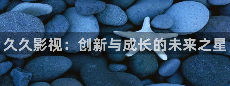 老司机电影院久久久：久久影视：创新与成长的未来之星